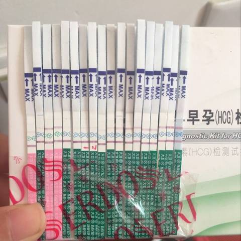 journal_insert_pic_924436852