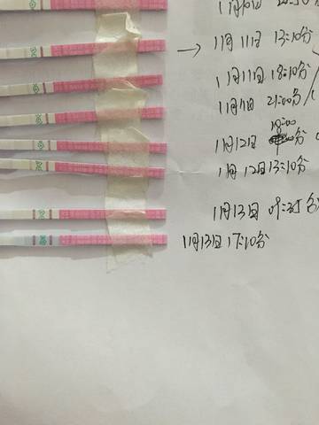 journal_insert_pic_924702293