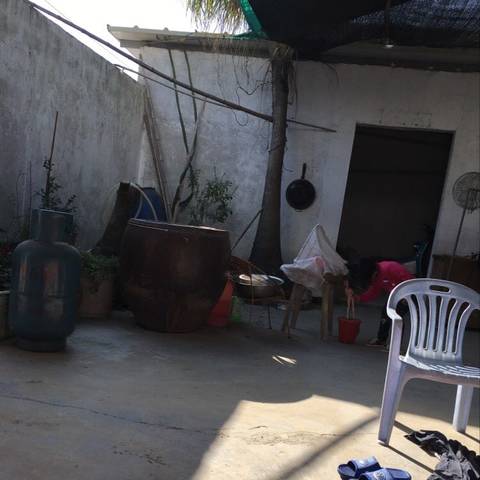 journal_insert_pic_924576901