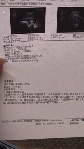 journal_insert_pic_924455317