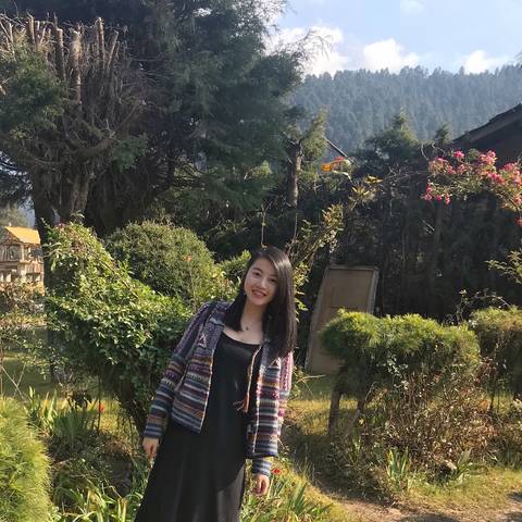 journal_insert_pic_924347390