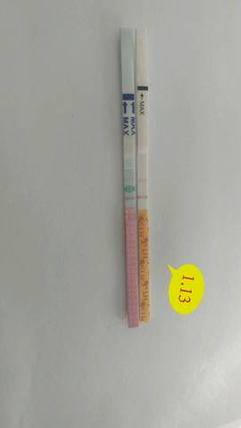 journal_insert_pic_925080395