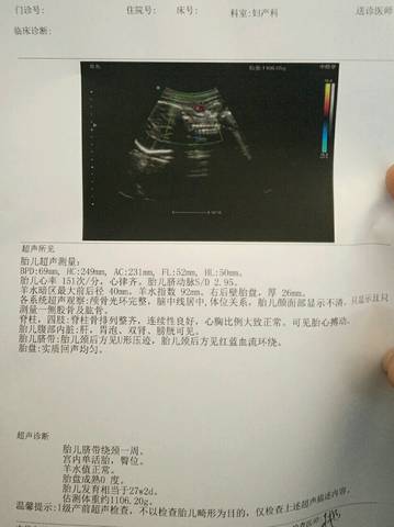 journal_insert_pic_926578894
