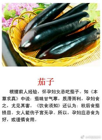 journal_insert_pic_926550477