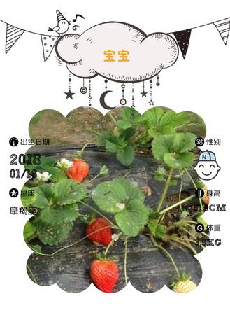 journal_insert_pic_926729526