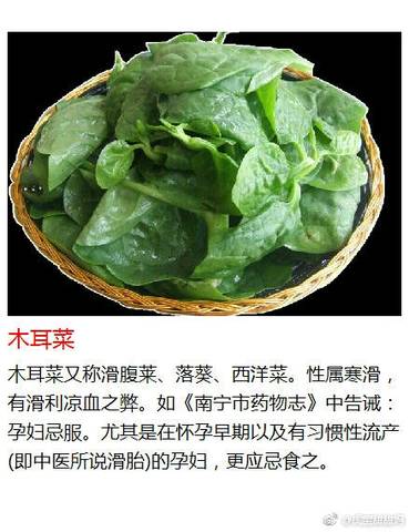 journal_insert_pic_926550514