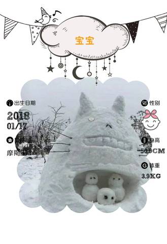 journal_insert_pic_927458549