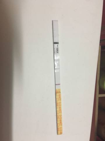 journal_insert_pic_926968847