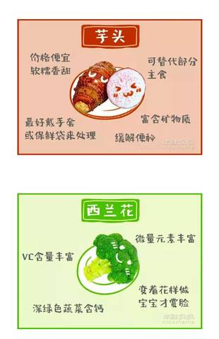 journal_insert_pic_927116422
