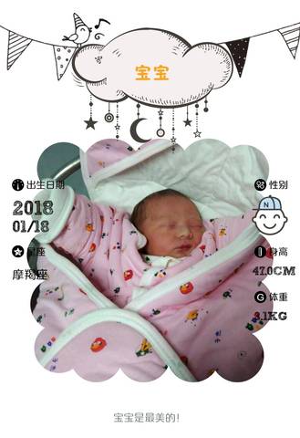 journal_insert_pic_928031096