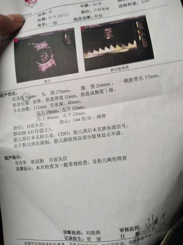 journal_insert_pic_927778271