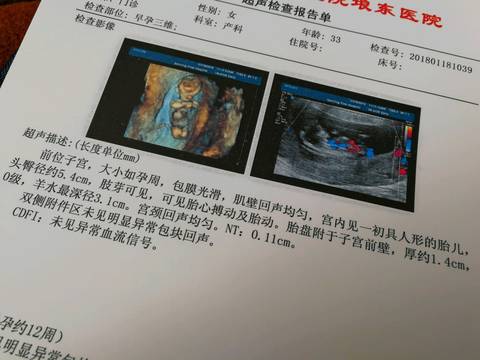 journal_insert_pic_927823293