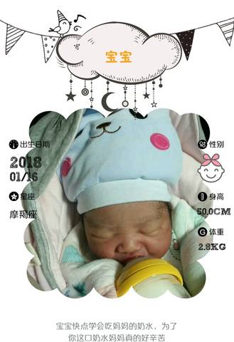 journal_insert_pic_928455624