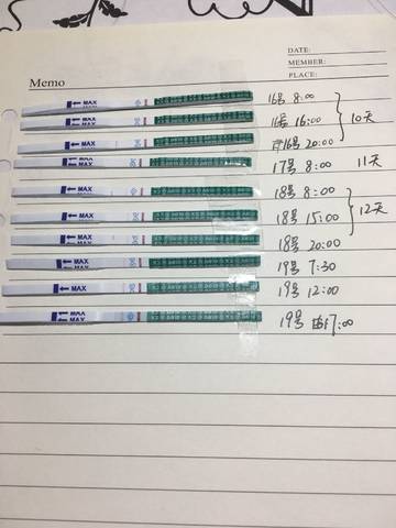 journal_insert_pic_928636130