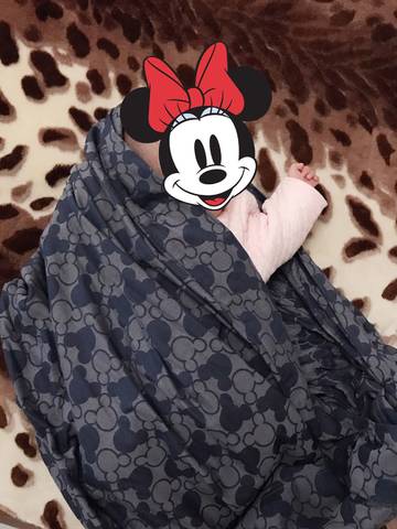journal_insert_pic_928823178