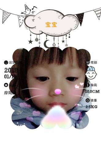 journal_insert_pic_928688137
