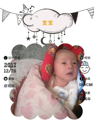 journal_insert_pic_929355361