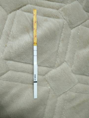 journal_insert_pic_929355091