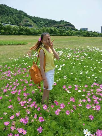 journal_insert_pic_929424107