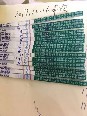 journal_insert_pic_928960242
