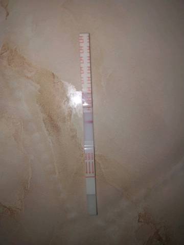 journal_insert_pic_930048515