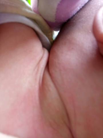 journal_insert_pic_929680835