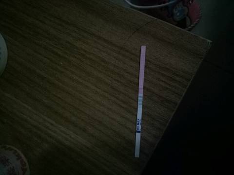 journal_insert_pic_929950832