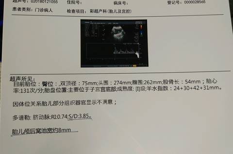 journal_insert_pic_930533633
