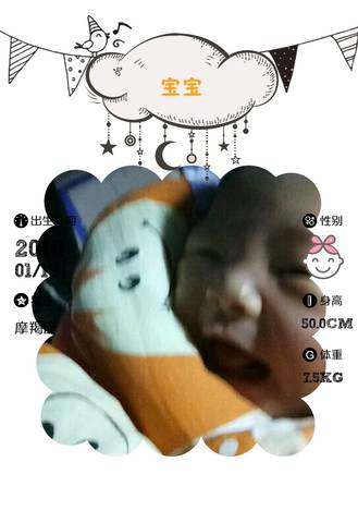 journal_insert_pic_930339174