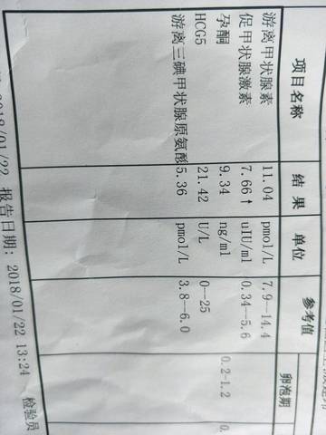 journal_insert_pic_930545214
