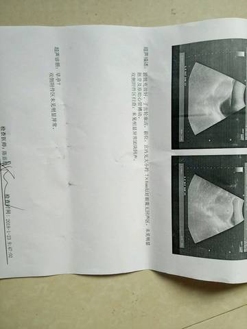 journal_insert_pic_931219020