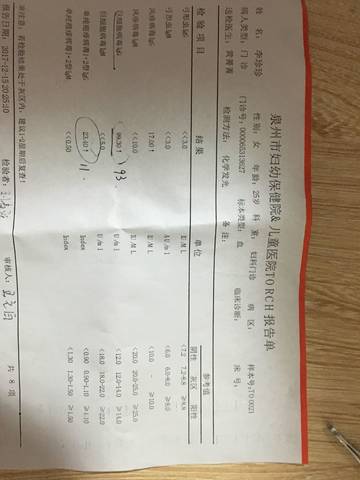journal_insert_pic_931499594