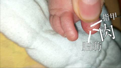 journal_insert_pic_931831610