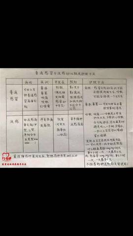 journal_insert_pic_932085026