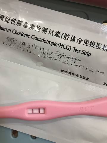 journal_insert_pic_932590565
