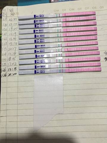 journal_insert_pic_933194992