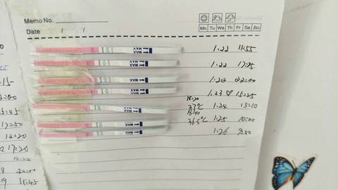 journal_insert_pic_932923211