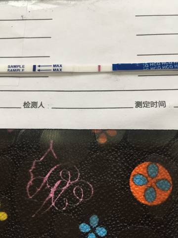 journal_insert_pic_933727408