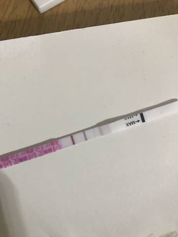 journal_insert_pic_933500475