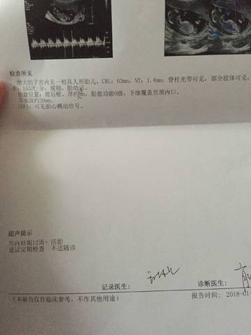 journal_insert_pic_933534877