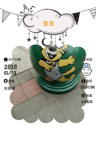 journal_insert_pic_934045528