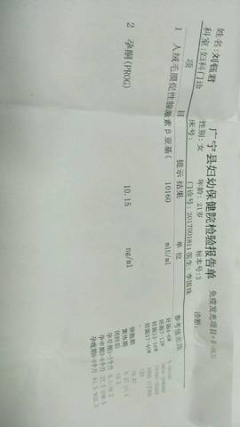 journal_insert_pic_935038731