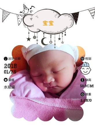 journal_insert_pic_935159070
