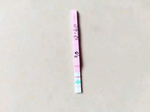 journal_insert_pic_935556618