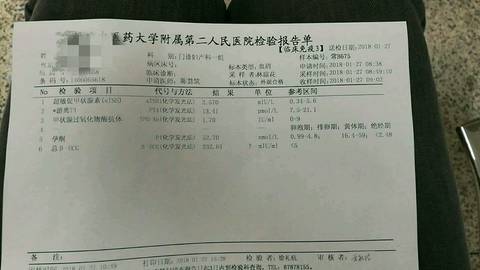 journal_insert_pic_936349725