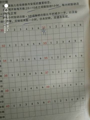 journal_insert_pic_936180815
