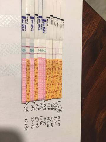 journal_insert_pic_936324297