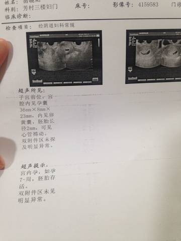 journal_insert_pic_936787829