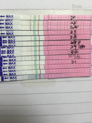 journal_insert_pic_936957889