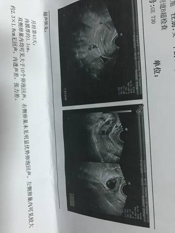 journal_insert_pic_937526053